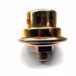 Powerglide aluminium modulator 1963-1973