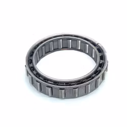 Converter sprag ford