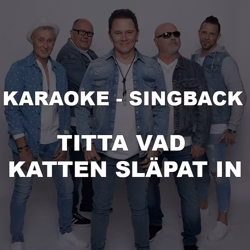 Singback - Titta vad katten släpat in (Nerladdning)