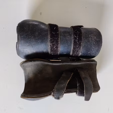 Svarta senskydd COB Pro-horse