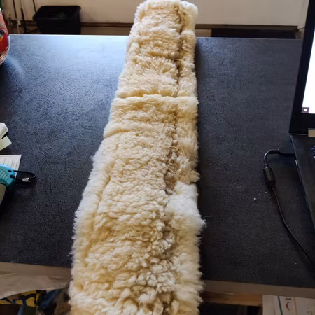 Sadelgjord med fårskinn 60 cm Bucas Christ