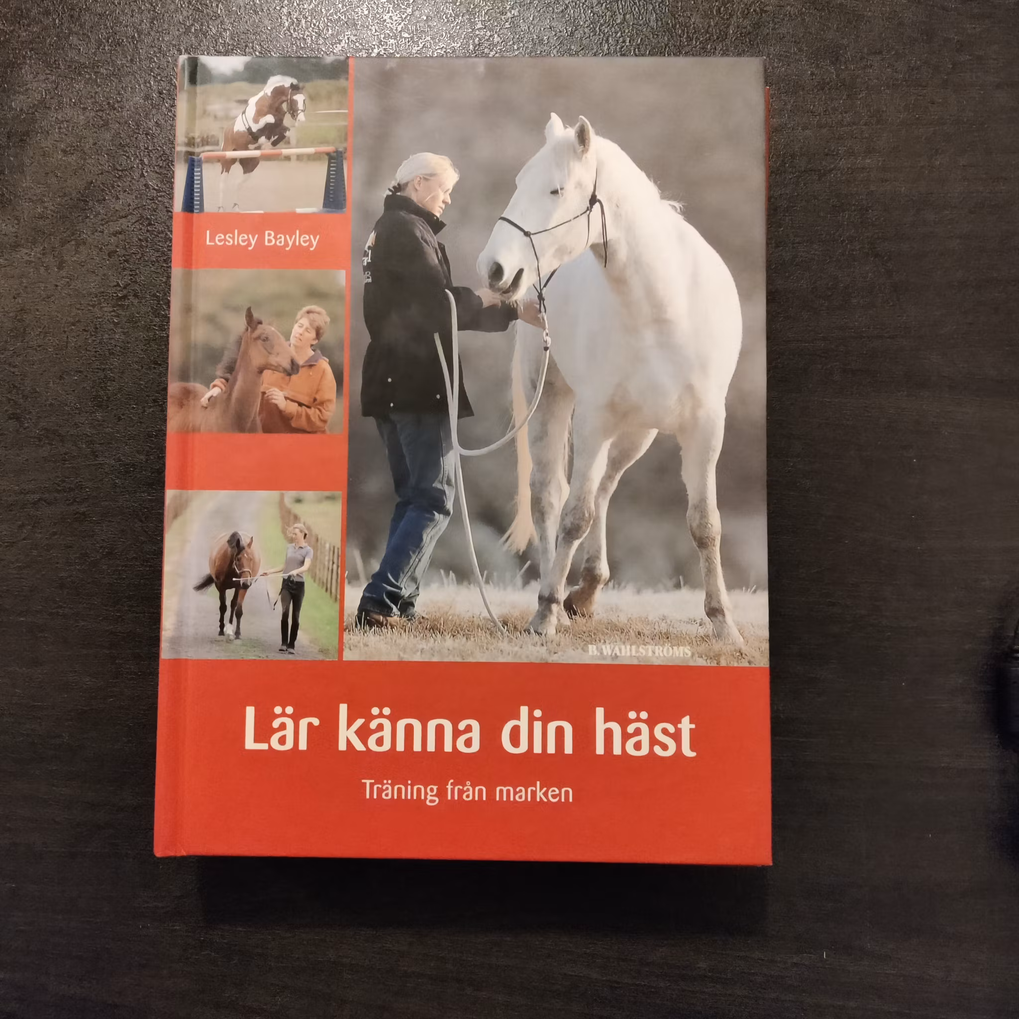 45.30 Lär känna din häst