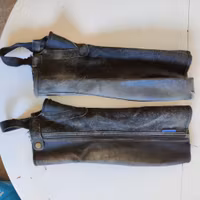Svarta shortchaps Large
