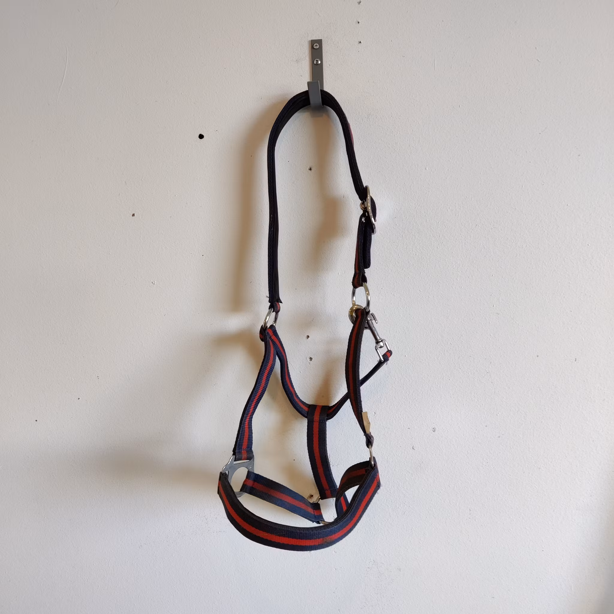 Blå/röd grimma med fodring COB