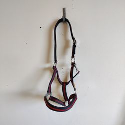 Blå/röd grimma med fodring COB