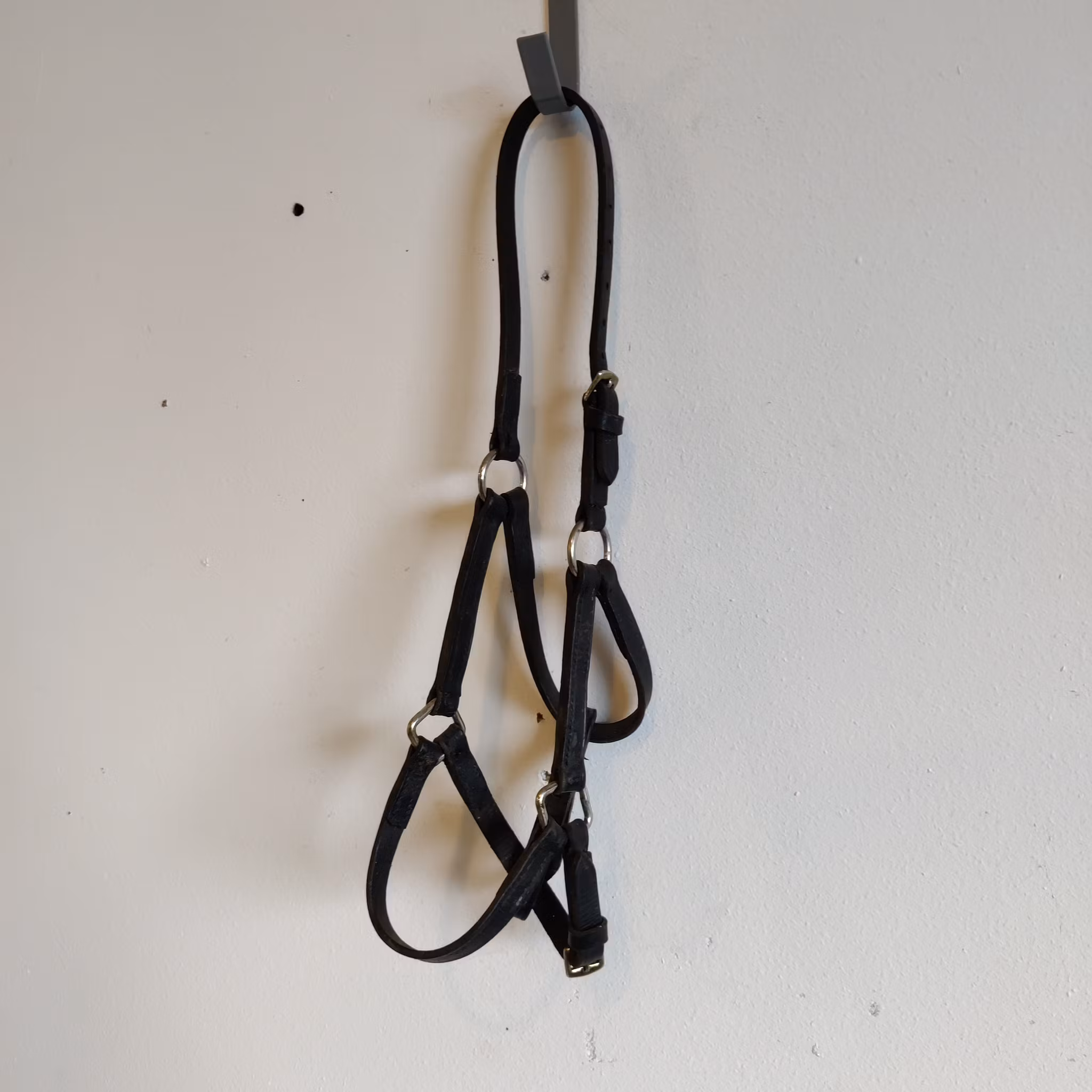Svart lädergrimma FÖL