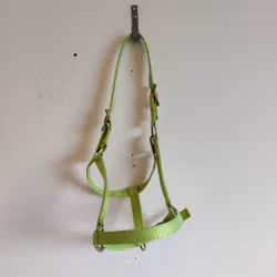 Grön grimma Protector  COB