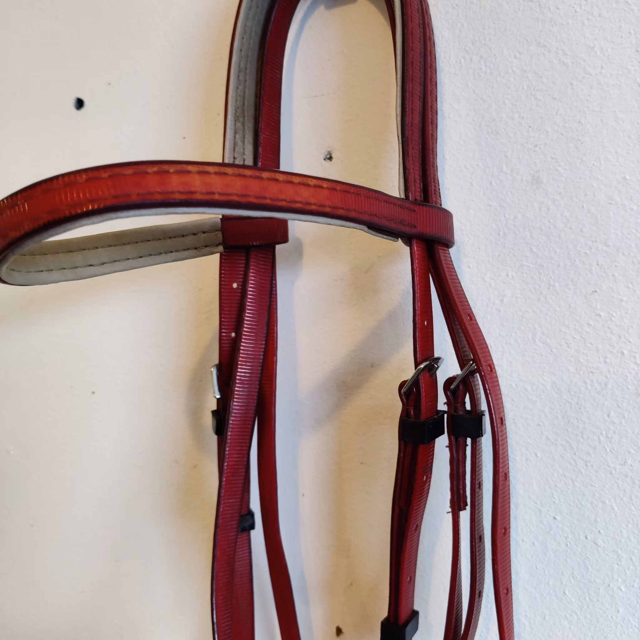 Rött träns Biothane FULL