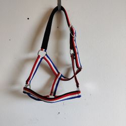 Blå/vit/röd grimma COB