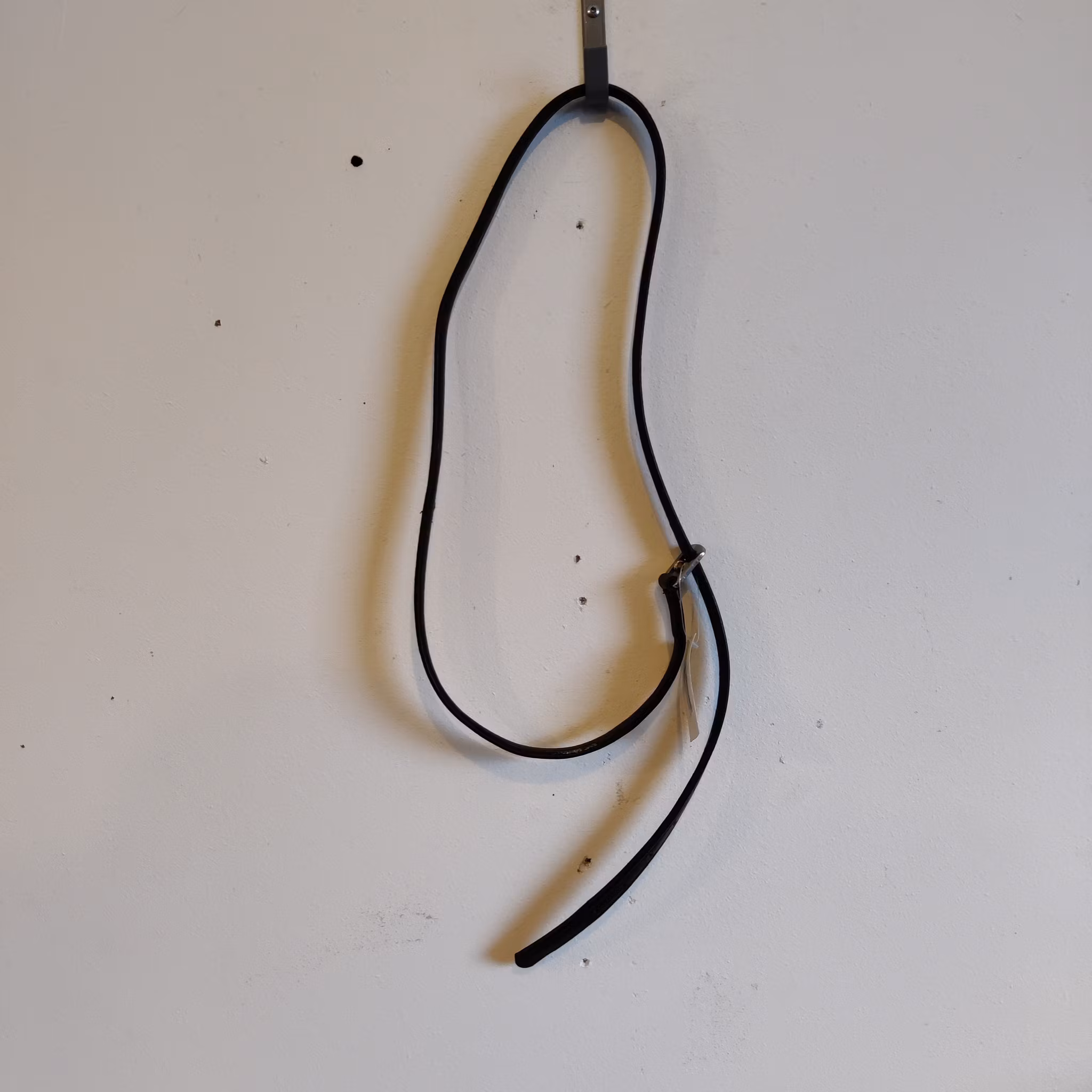 Ett stigläder 145 cm CH