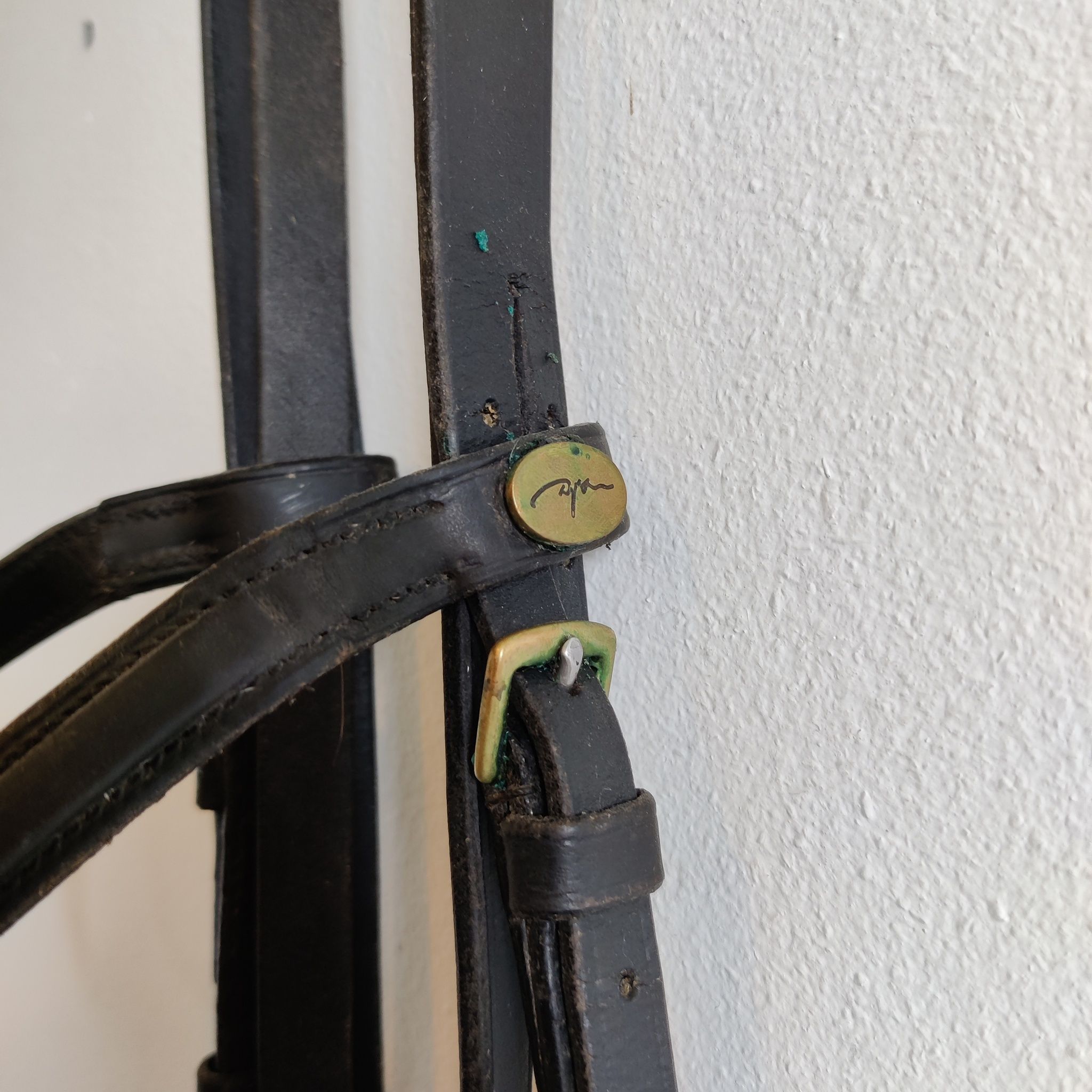 Träns med pannband från Dyon FULL
