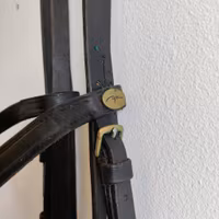 Träns med pannband från Dyon FULL