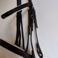 Svart kandar FULL SABRE