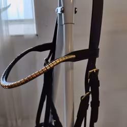 Mörkbrunt träns med klinker FULL