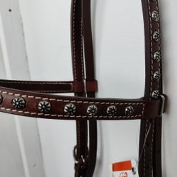 Brunt westernträns FULL Cashel