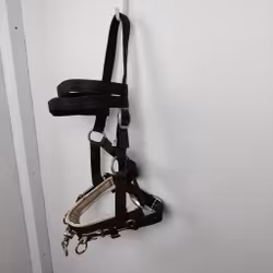 Svart kapson COB