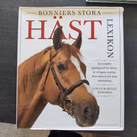 Bonniers Stora Bok om Hästen