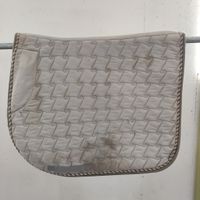 Grått dressyrschabrak FULL