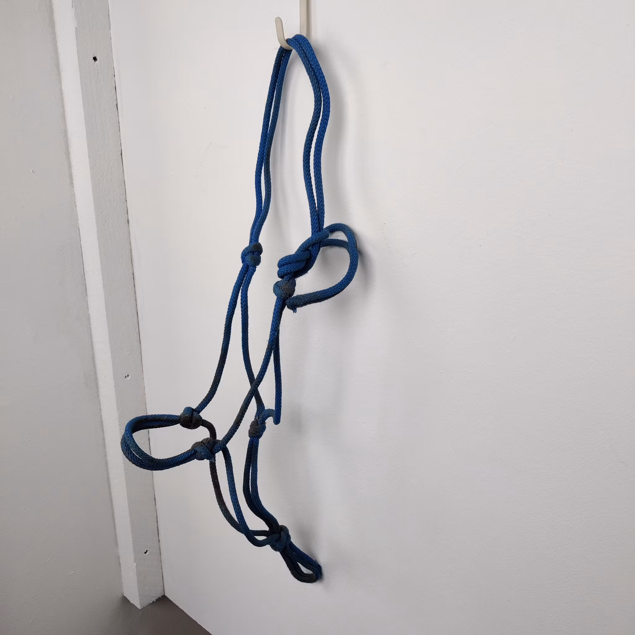 Blå repgrimma COB