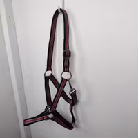 Svart/rosa/vit grimma COB