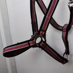 Svart/rosa/vit grimma COB