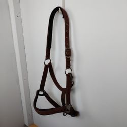 Brun grimma Horseguard FULL