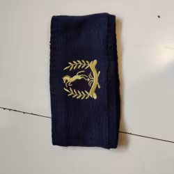 Blått pannband
