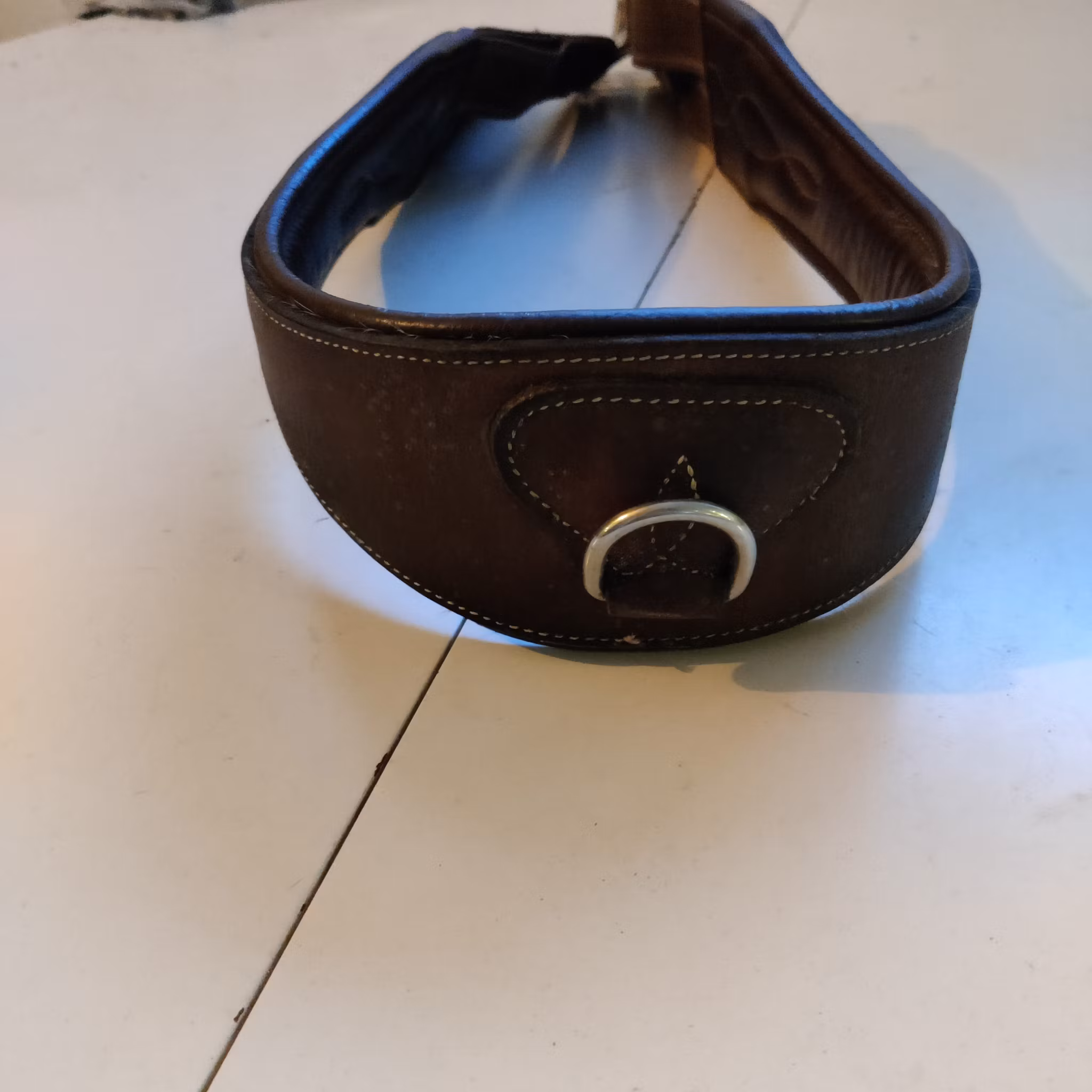 Brun sadelgjord 110 cm Fairfield