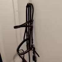 Svart träns med gulddekor FULL