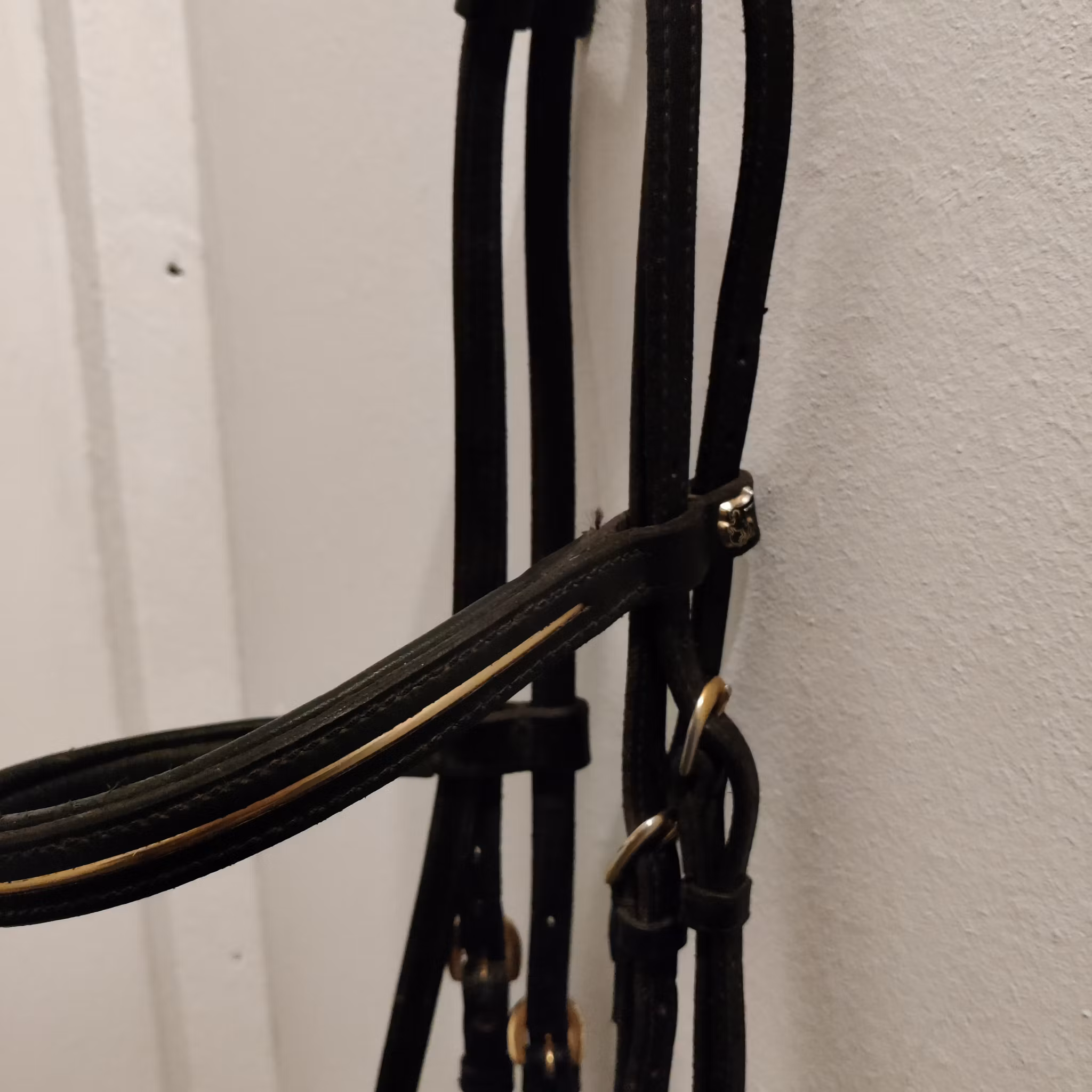 Svart träns med gulddekor FULL