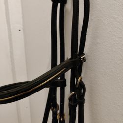Svart träns med gulddekor FULL