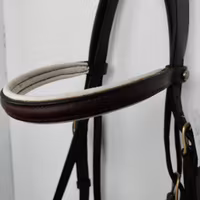 Brunt träns med vit fodring Jacson COB