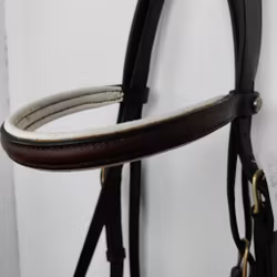 Brunt träns med vit fodring Jacson COB