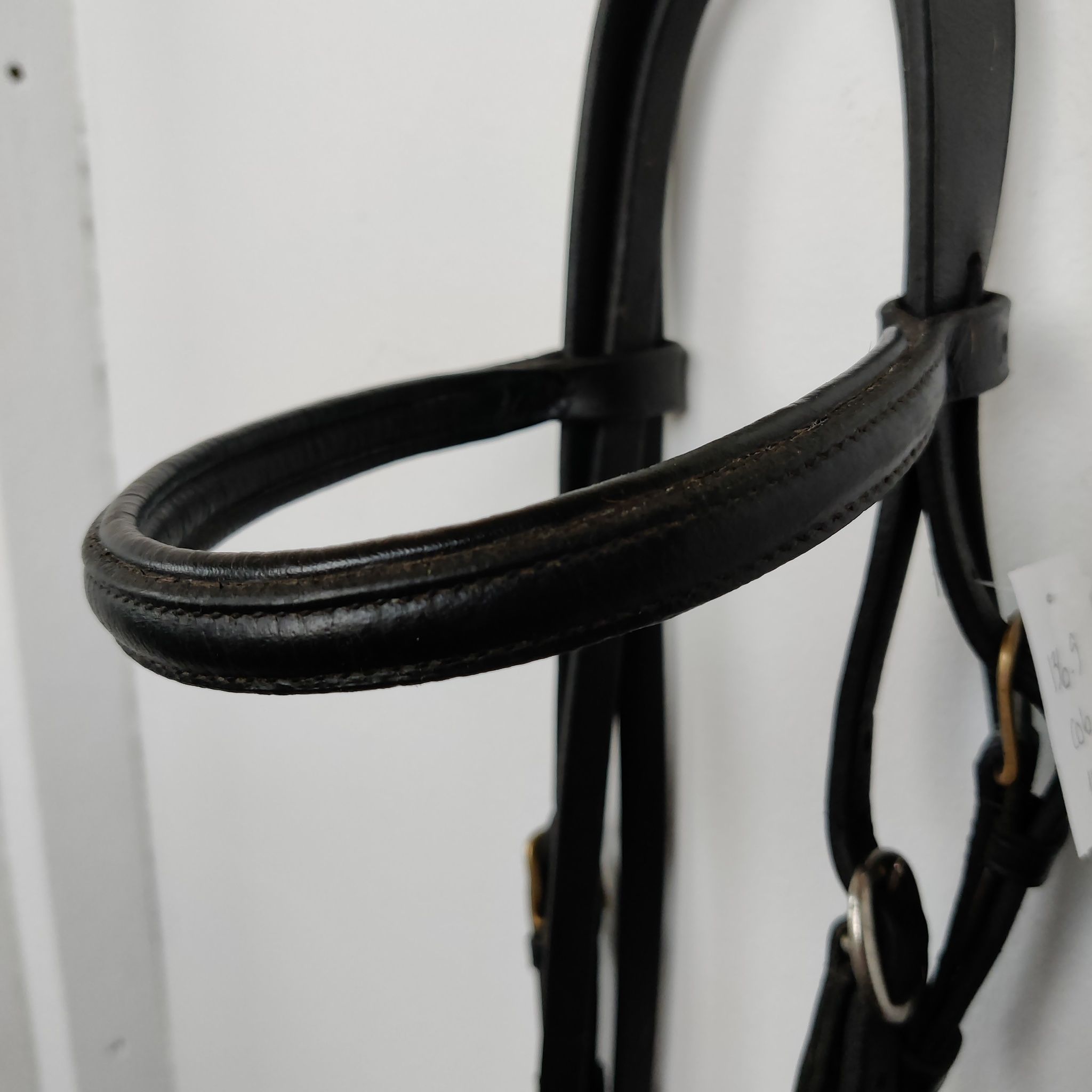 Svart träns  COB