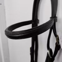 Svart träns  COB