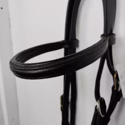 Svart träns  COB
