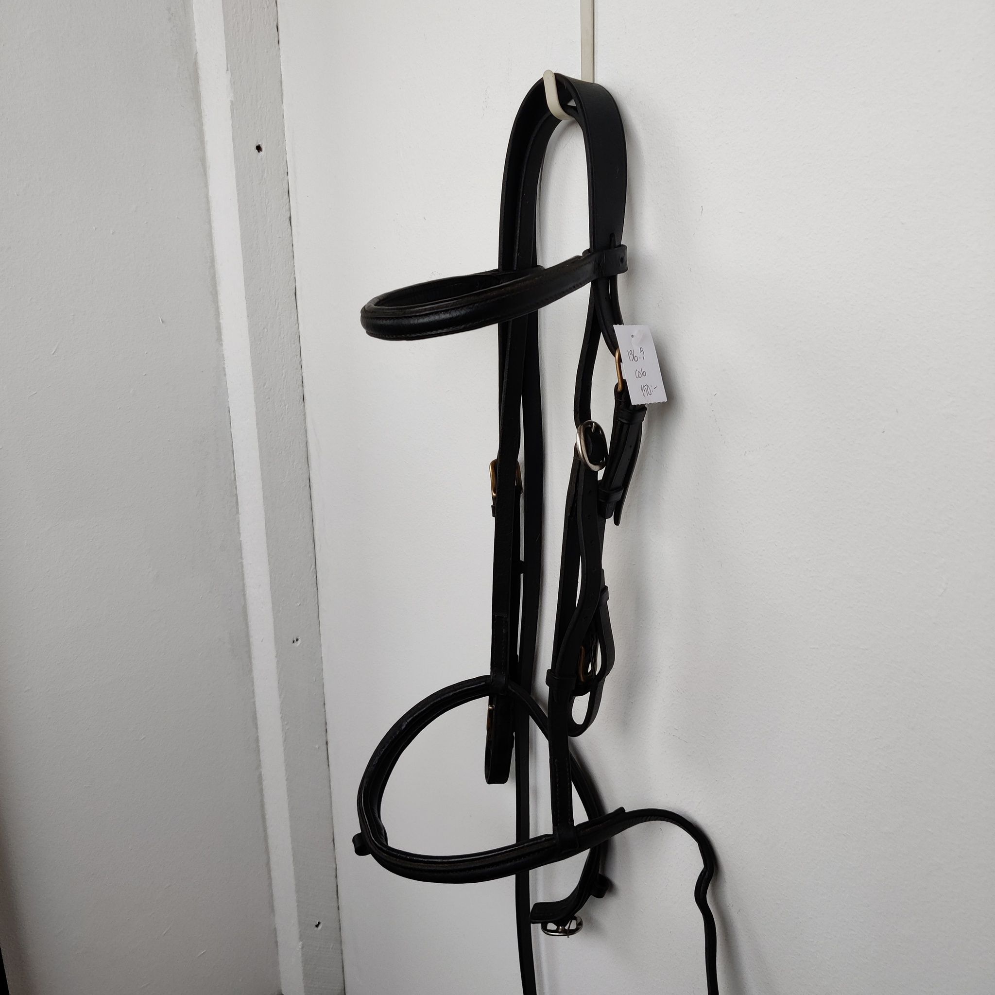 Svart träns  COB