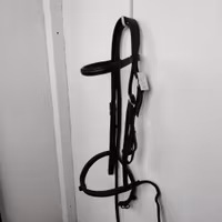 Svart träns  COB