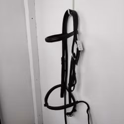 Svart träns  COB
