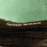 Brunt schabrak PS of Sweden COB