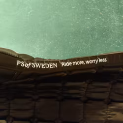 Brunt schabrak PS of Sweden COB