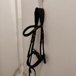 Svart träns Fairfield FULL