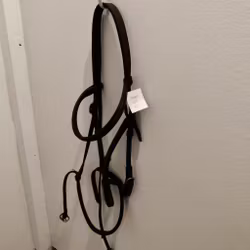 Svart träns COB