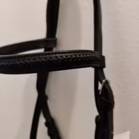 Svart träns COB