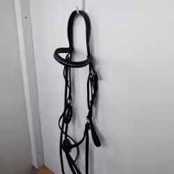 Svart träns med bling FULL