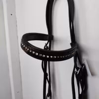 Svart träns med bling FULL