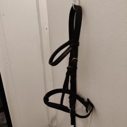 Svart träns FULL