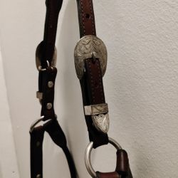 Brunt showhalter storlek yearling