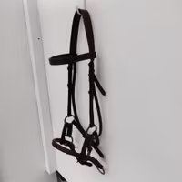 Brunt sidepull FULL