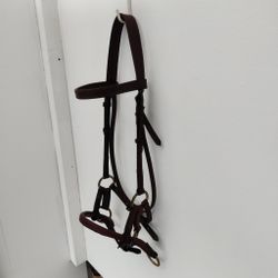 Brunt sidepull FULL